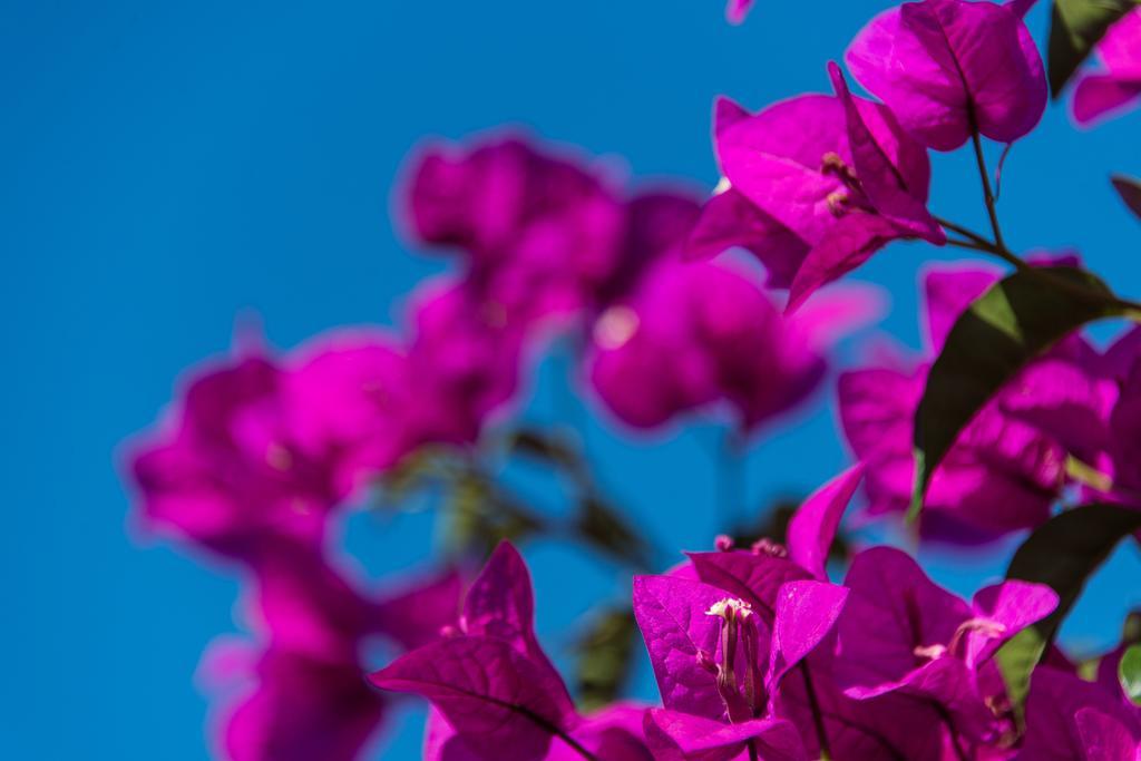 Keri Village & Spa By Zante Plaza (Adults Only) エクステリア 写真